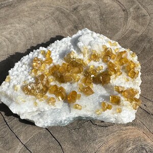May include: A natural mineral specimen featuring a white matrix covered with clusters of golden-yellow crystals. The crystals have a sparkling, crystalline appearance, contrasting with the rough, textured base. The specimen is displayed on a wooden surface.