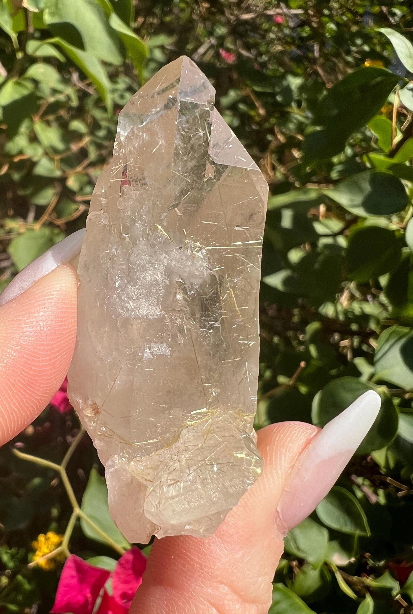 High-Quality Golden Rutilated Cathedral Quartz – Rare Find from Novo Horizonte, Brazil