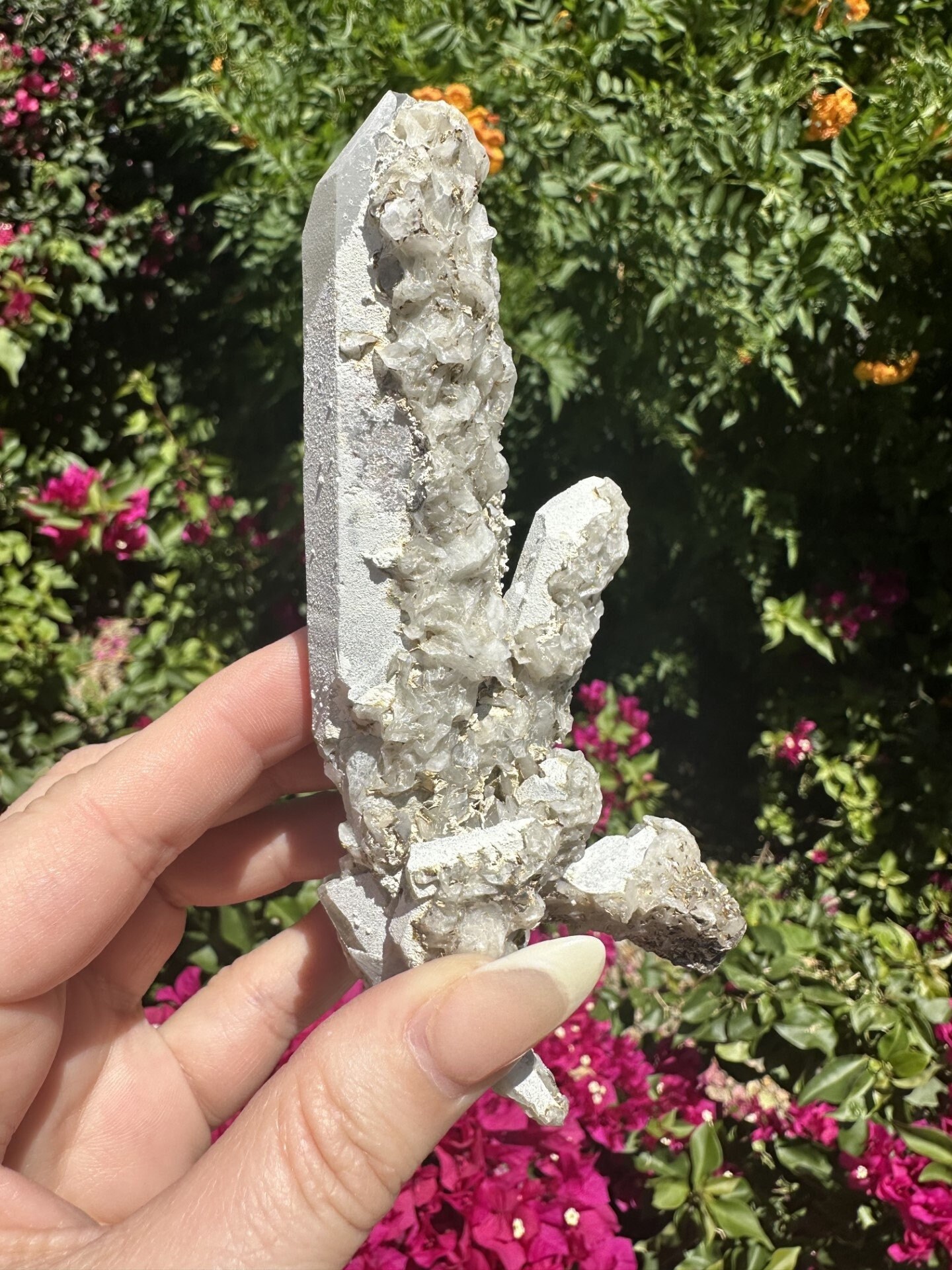 ♯Hvi12DZ もやしもん かもされ 水晶 ストラップ3 全6種 もやしもん かもされ水晶ストラップ3 | らのたんのミニおもちゃ中毒