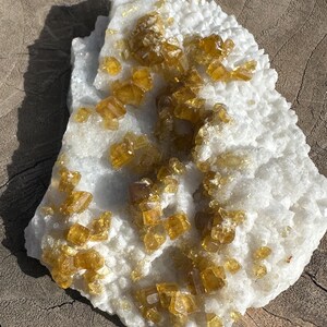 May include: A natural mineral specimen featuring a white, crystalline base with clusters of golden-yellow crystals. The crystals have a cubic or rectangular shape, and the overall texture is rough and uneven. The mineral sits on a wooden surface.