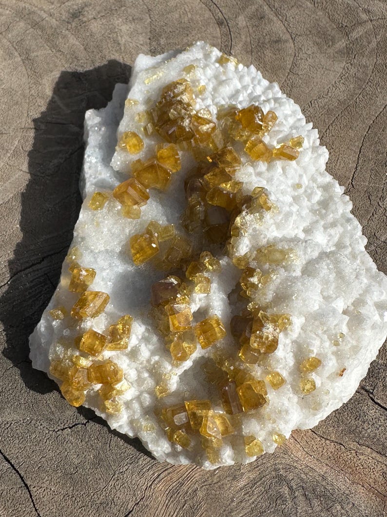 May include: A natural mineral specimen featuring a white, crystalline base with clusters of golden-yellow crystals. The crystals have a cubic or rectangular shape, and the overall texture is rough and uneven. The mineral sits on a wooden surface.