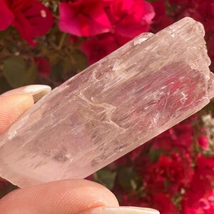 Cristal de kunzita rosa gema con arcoíris imagen 9