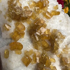 May include: Close-up of a natural mineral specimen featuring clusters of golden-yellow crystals on a white matrix. The crystals have a sparkling, translucent appearance, with various geometric shapes. The overall texture is rough and crystalline.