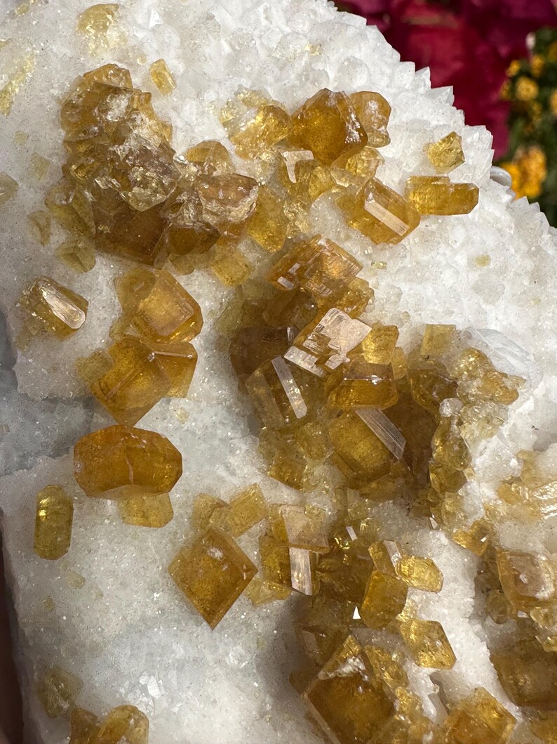 May include: Close-up of a natural mineral specimen featuring clusters of golden-yellow crystals on a white matrix. The crystals have a sparkling, translucent appearance, with various geometric shapes. The overall texture is rough and crystalline.