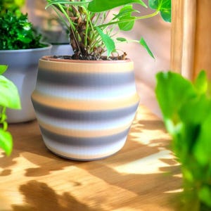 May include: A striped ceramic planter with a light brown, white and grey colour scheme. The planter is filled with a green plant with large leaves.