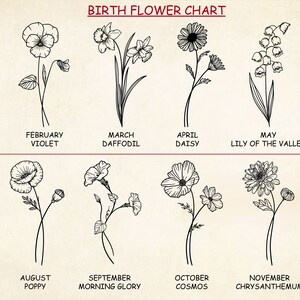 Op de afbeelding: Een zwart-wit diagram dat de geboortebloem voor elke maand van het jaar laat zien. Het diagram bevat de naam van de bloem en de maand waaraan deze is gekoppeld.