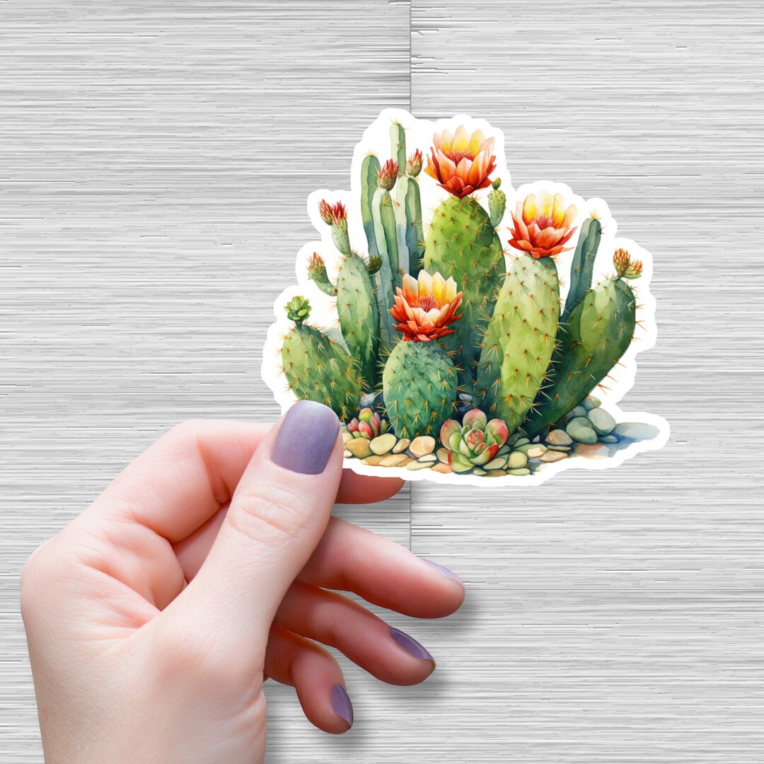 Watercolor Cactus Vinyl Sticker Etsy