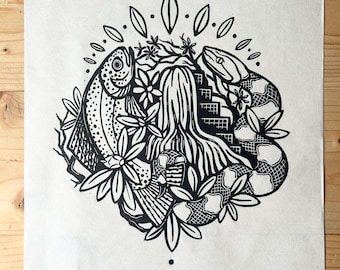 Amigos de Catawba Falls