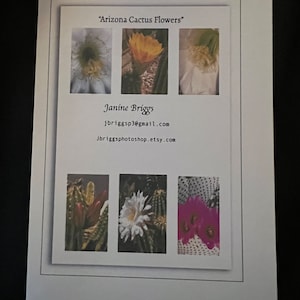 Lot de 6 fleurs de cactus de l'Arizona