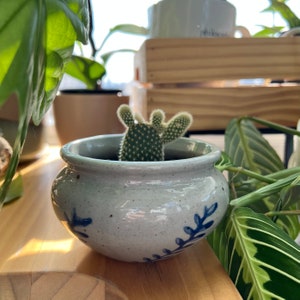 May include: A small, light grey ceramic pot with blue floral designs, containing a green cactus plant with multiple arms.