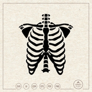 Skeleton Torso Svg Png, Halloween Clipart, Cricut Silhouette Plotter Cut File