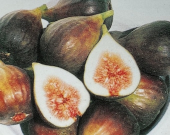 May include: A bowl of fresh figs, some with the skin on and others cut open, revealing their pink flesh.