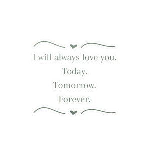 Terms and Conditions Lauren Asher Quote Kiss-cut Vinyl Decals - Etsy