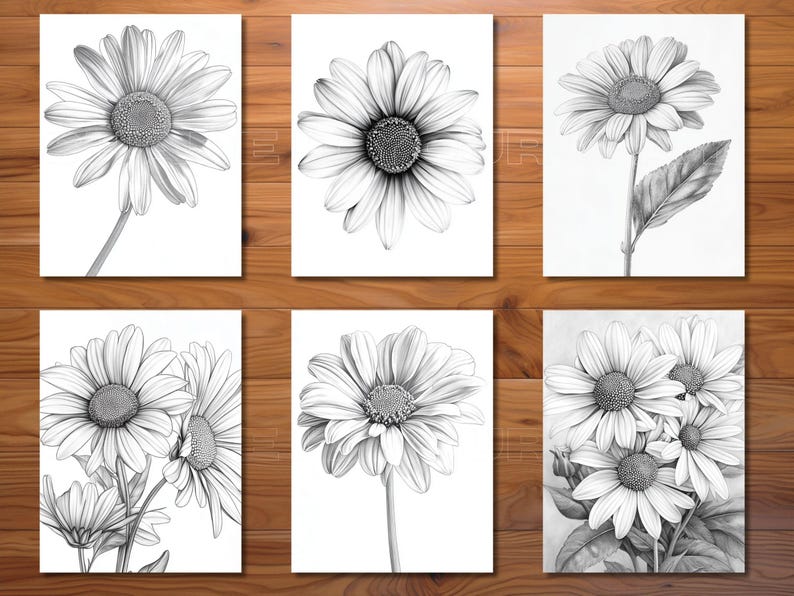 30 Daisy Coloring Page Book - Adults + Kids - Instant Download ...