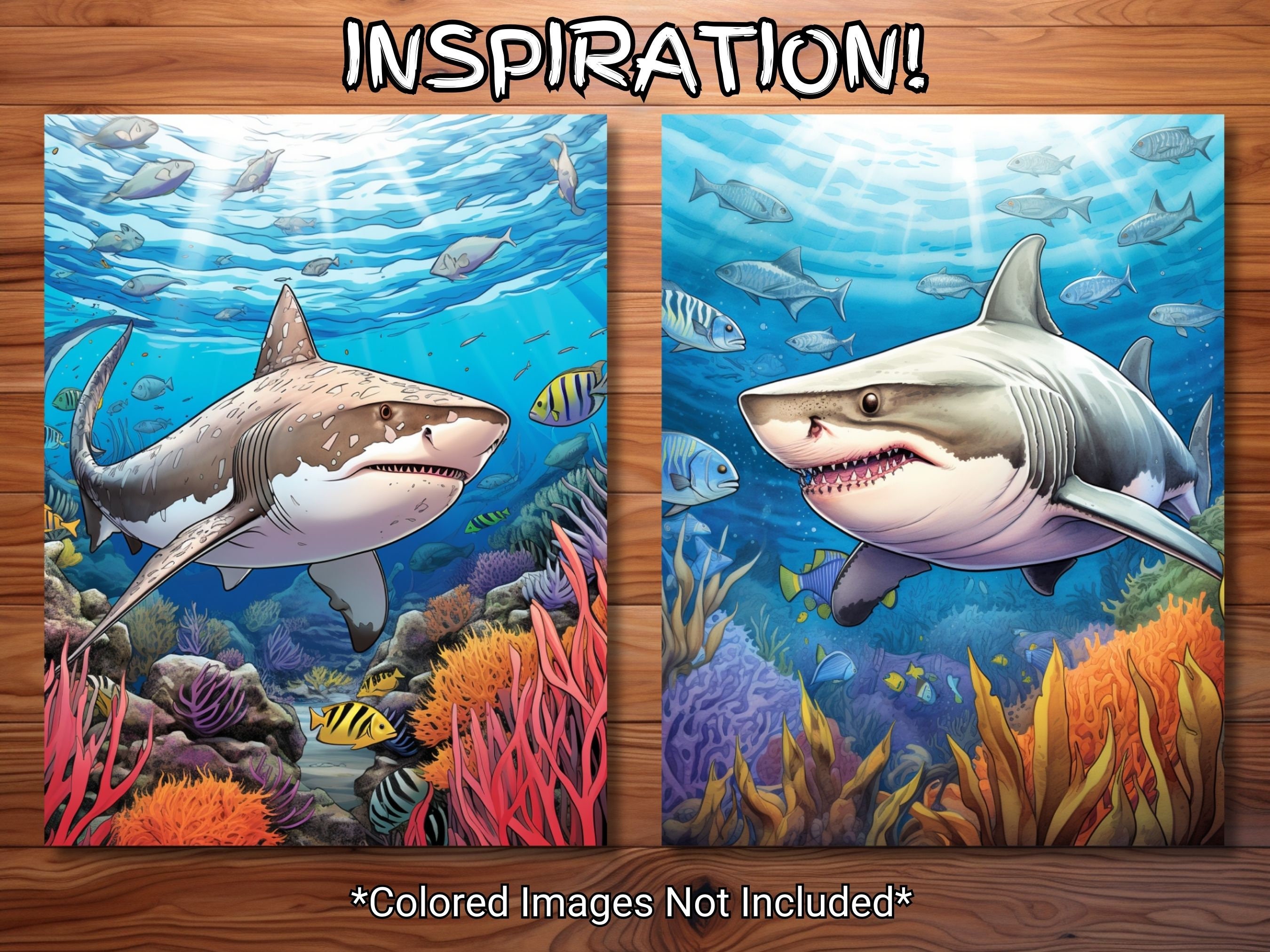 30 Shark Attack Coloring Page Book Adults Kids Instant Etsy