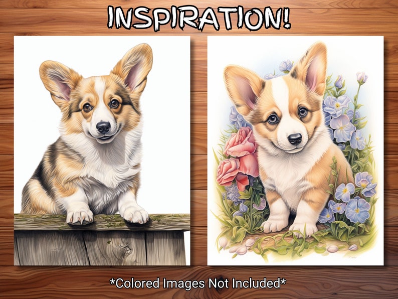 30 Corgi Cuteness Coloring Page Book Adults Kids Instant Download Grayscale Coloring Page Printable PDF image 4