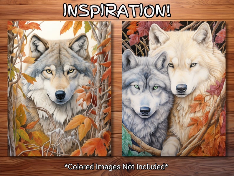 30 Wolves Coloring Page Book Adults Kids Instant Download Grayscale