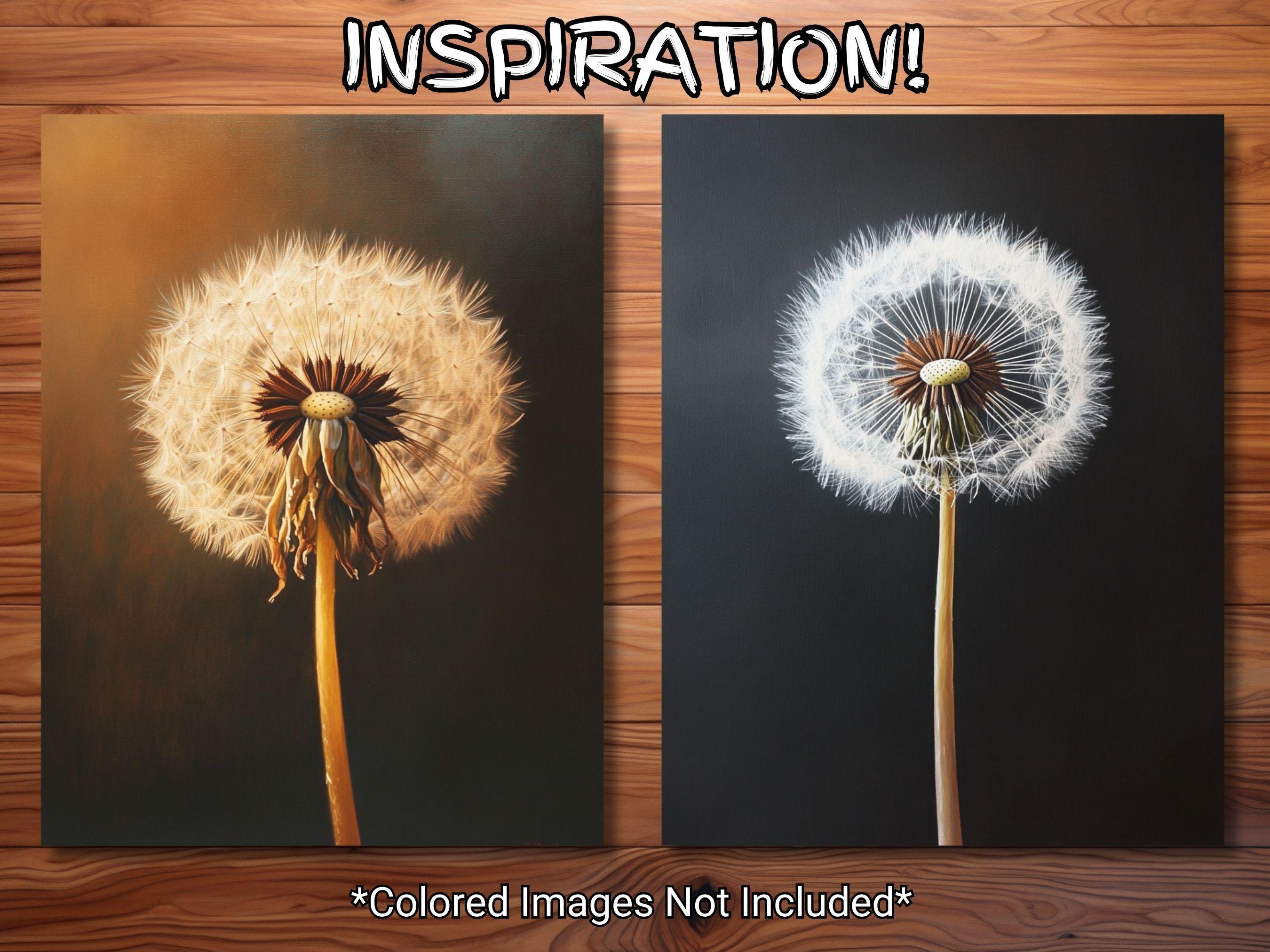 タンポポのぬり絵30ページブック - 大人と子供 - 即時ダウンロード