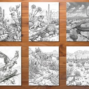 May include: Six black and white illustrations of desert wildlife and landscapes. The images include a bird, a lizard, a snake, a hawk, a coyote, and a deer, all set against a backdrop of cacti, rocks, and mountains. The drawings are detailed and suitable for coloring.
