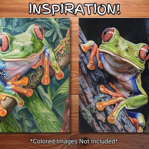 May include: A close-up of a green and blue frog with red eyes sitting on a branch. The frog is surrounded by green leaves. The image is split into two sections, one with a light background and the other with a dark background.