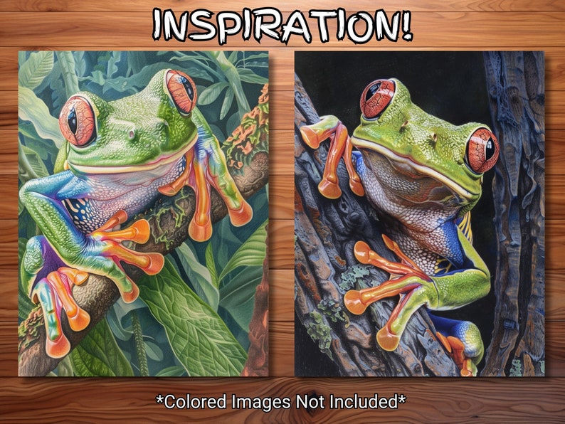 May include: A close-up of a green and blue frog with red eyes sitting on a branch. The frog is surrounded by green leaves. The image is split into two sections, one with a light background and the other with a dark background.