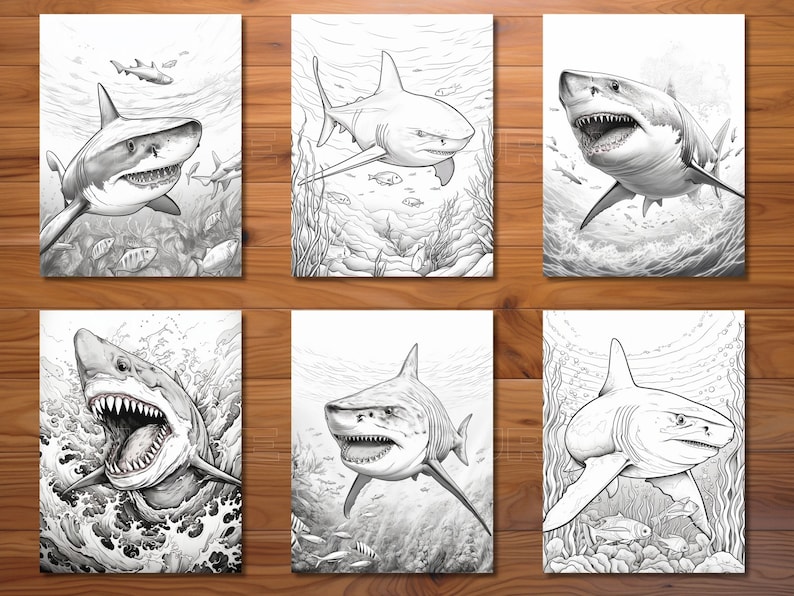 30 Shark Attack Coloring Page Book Adults Kids Instant Etsy
