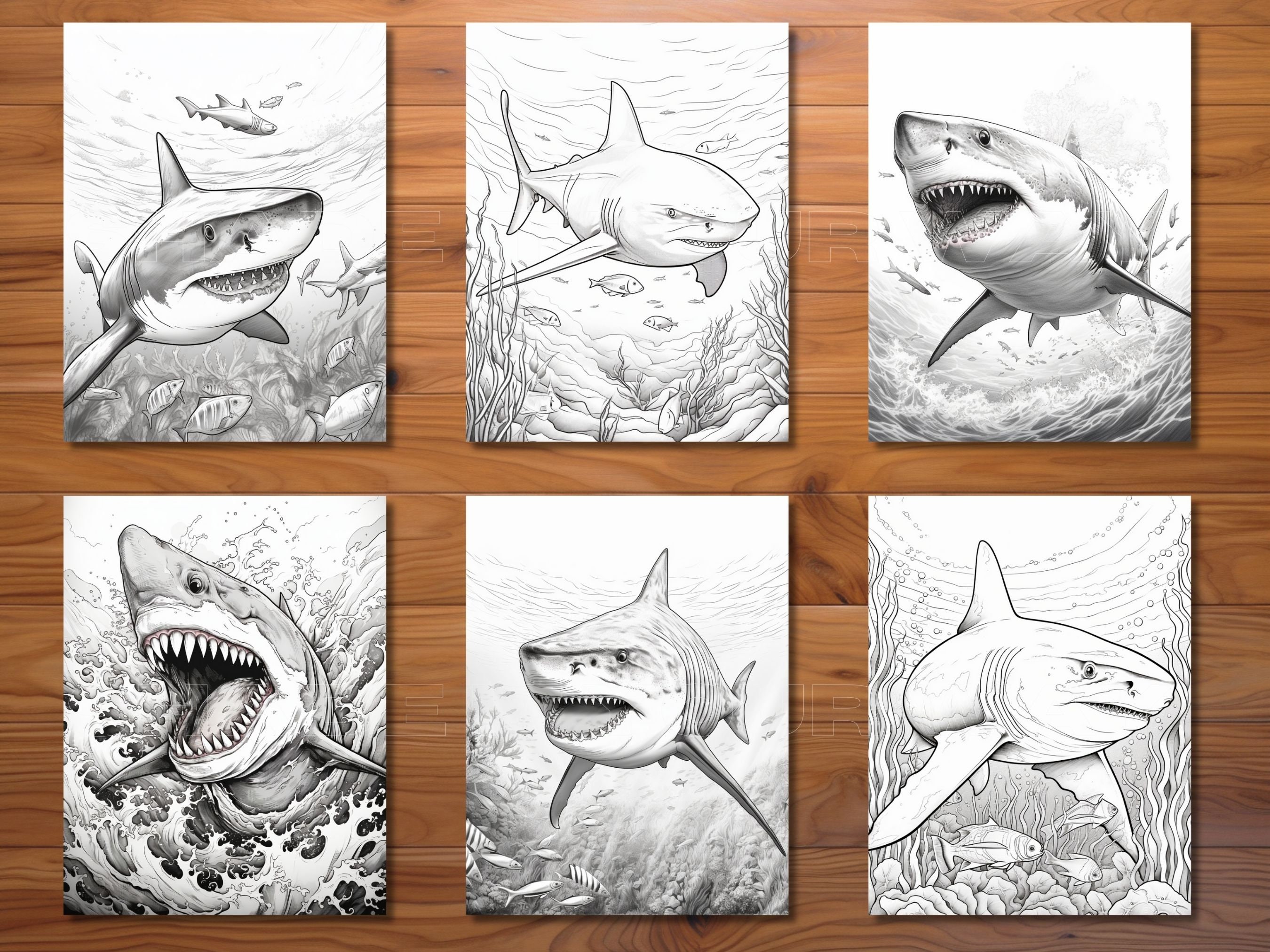 30 Shark Attack Coloring Page Book Adults Kids Instant - Etsy