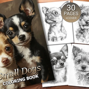 Pode incluir: Um livro de colorir intitulado Small Dogs Coloring Book com uma capa apresentando dois filhotes de chihuahua, um castanho e um preto e branco. O livro inclui 30 páginas de ilustrações a lápis em preto e branco de várias raças de cães.
