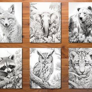 K&ouml;nnte beinhalten: Sechs Schwarzwei&szlig;-Bleistiftzeichnungen von Tieren. Die Zeichnungen sind auf wei&szlig;em Papier und werden von einem Holzrahmen eingerahmt. Die Tiere sind ein Fuchs, ein Elefant, ein B&auml;r, ein Waschb&auml;r, eine Eule und ein Leopard.