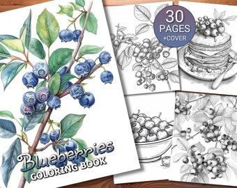 30 Blueberries Coloring Page Book - Adults + Kids - Instant Download - Grayscale Coloring Page - Printable PDF