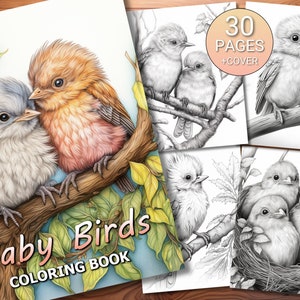 30 Baby Birds Coloring Page Book - Adults + Kids - Instant Download - Grayscale Coloring Page - Printable PDF