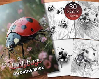 30 Ladybugs Coloring Page Book - Adults + Kids - Instant Download - Grayscale Coloring Page - Printable PDF