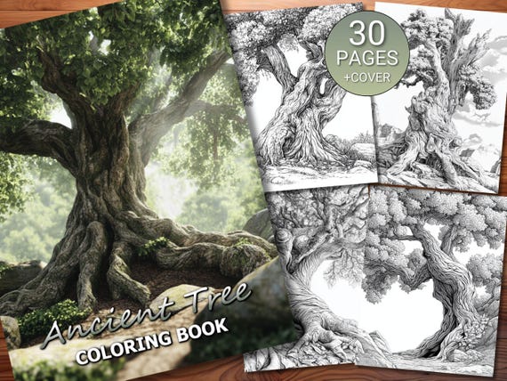 30 Ancient Tree Coloring Page Book - Adults + Kids - Instant Download - Grayscale Coloring Page - Printable PDF