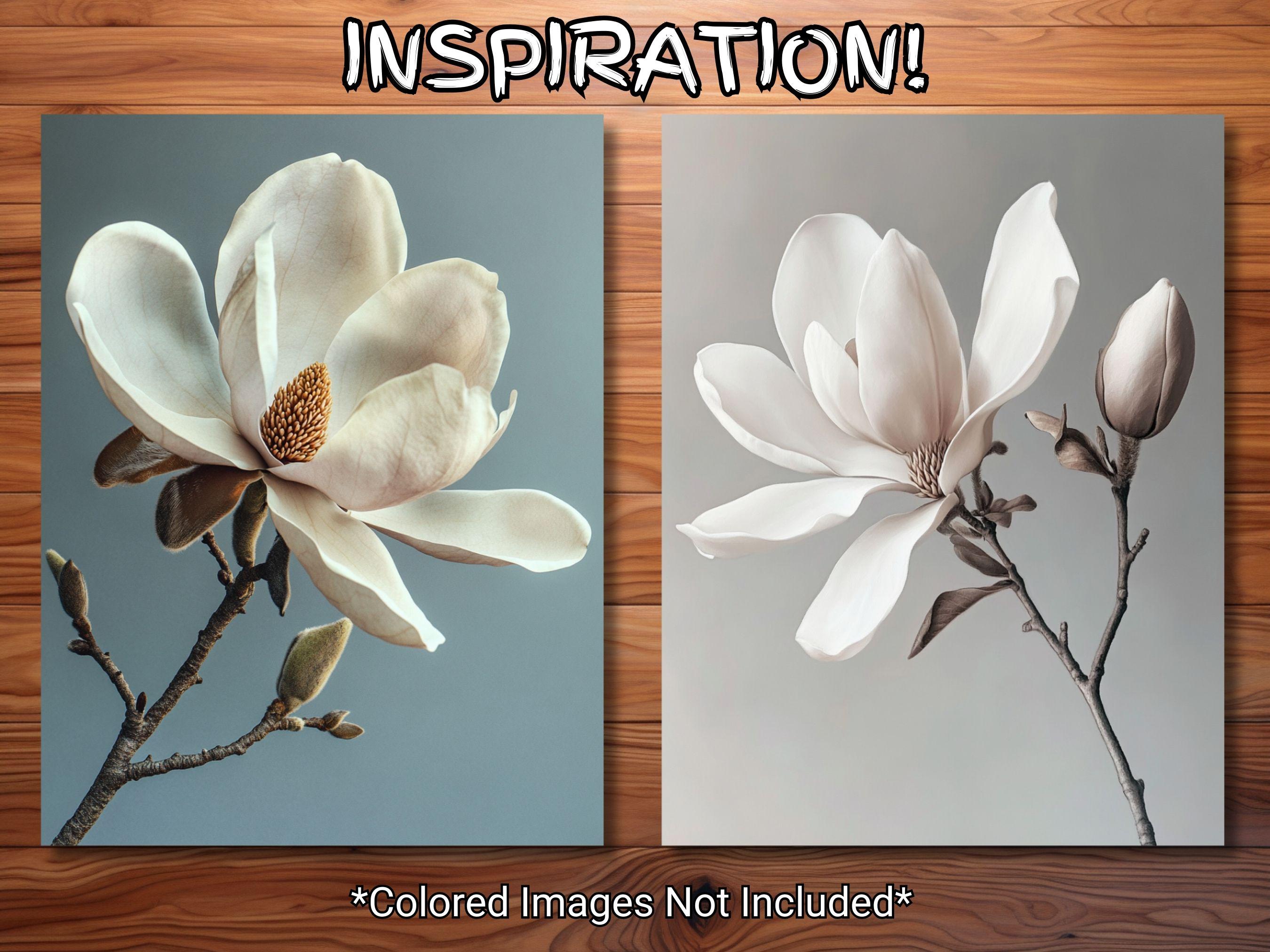 30 Magnolia Coloring Page Book - Adults + Kids - Instant Download ...