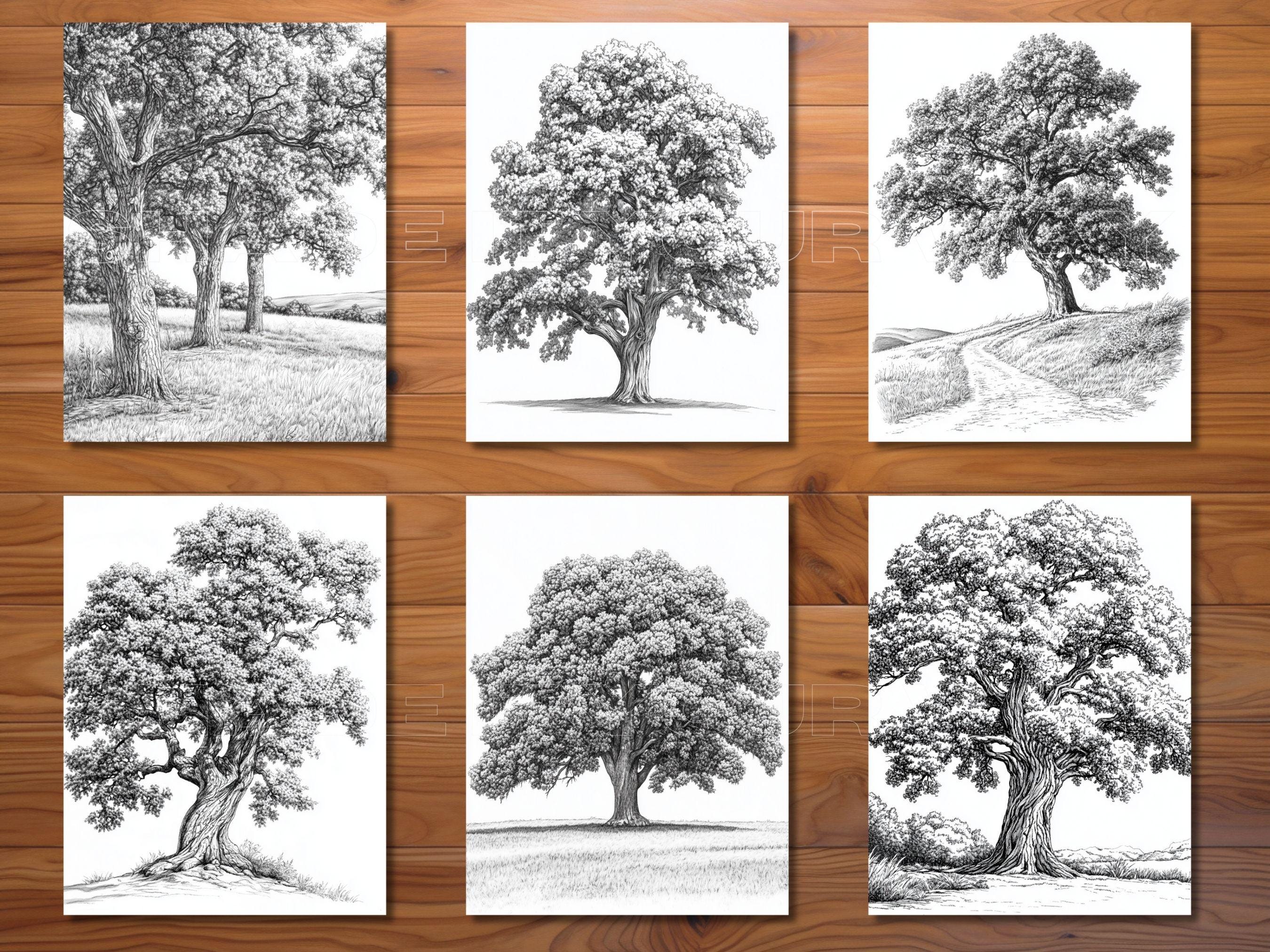 30 Oak Tree Coloring Page Book - Adults + Kids - Instant Download ...