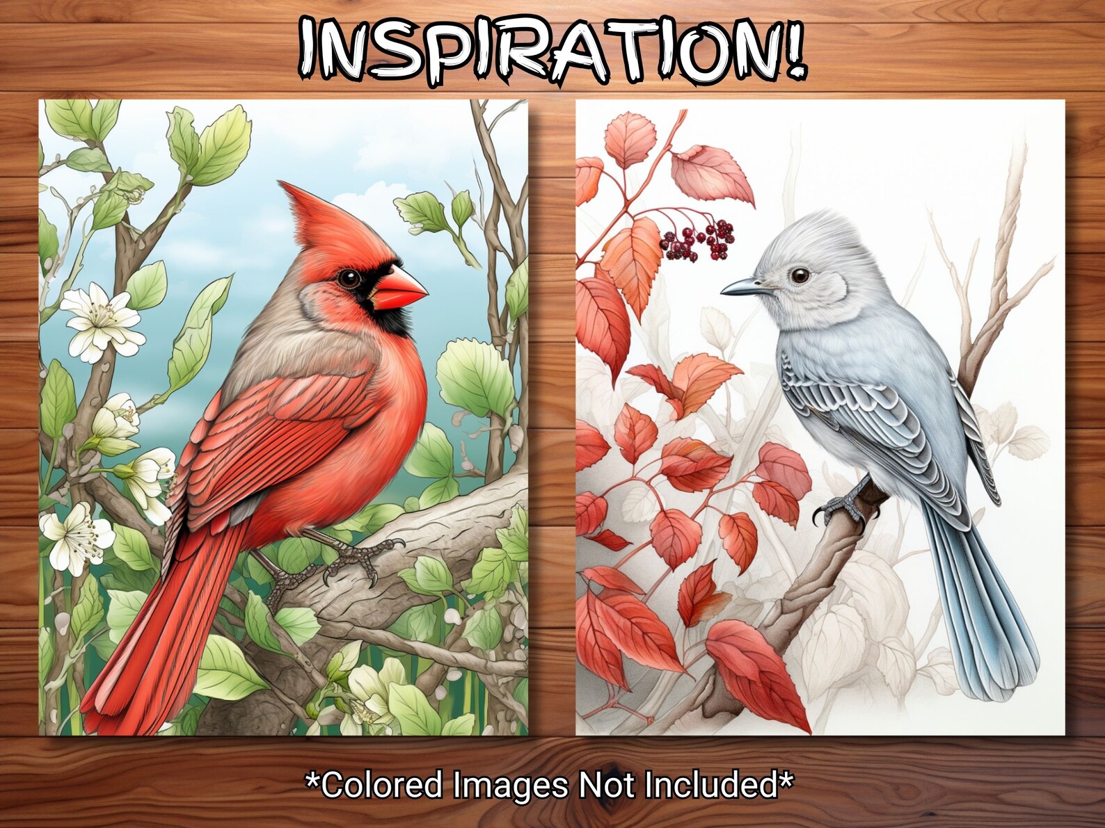 30 Beautiful Birds Coloring Page Book - Adults + Kids - Instant ...