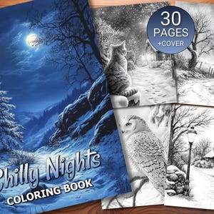 May include: A coloring book titled "Chilly Nights" with a winter landscape cover. The book features 30 pages of grayscale illustrations, including a cat, owl, and snowy scenes. The cover art depicts a moonlit, snow-covered forest.
