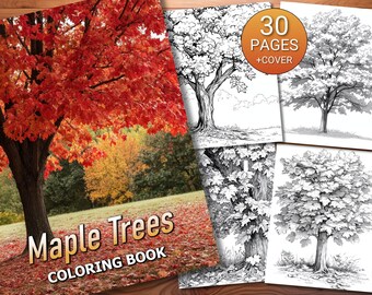 30 Maple Trees Coloring Page Book - Adults + Kids - Instant Download - Grayscale Coloring Page - Printable PDF