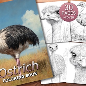 30 Ostrich Coloring Page Book - Adults + Kids - Instant Download - Grayscale Coloring Page - Printable PDF