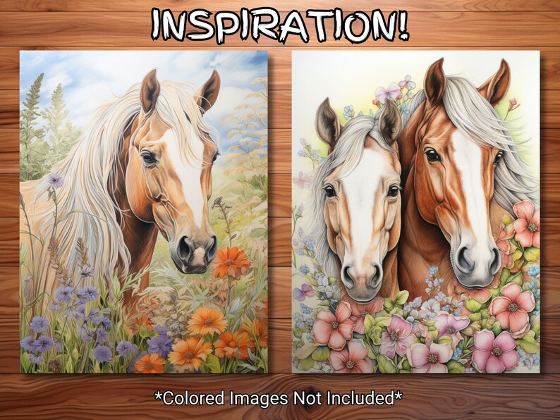 May include: Two detailed line art drawings of horses with flowers. The first image shows a light brown horse with a white blaze on its face, surrounded by orange and purple flowers. The second image shows two horses, one light brown with a white blaze and the other a darker brown, with pink and purple flowers.