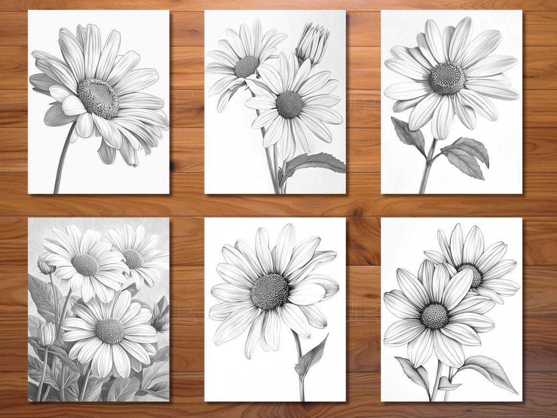 30 Daisy Coloring Page Book - Adults + Kids - Instant Download ...