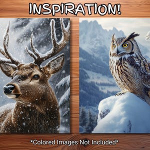 May include: Two canvas art prints featuring winter scenes. One depicts a brown deer with large antlers in a snowy forest. The other shows a great horned owl perched on a snow-covered rock with a mountain backdrop. Text: "INSPIRATION!" and "*Colored Images Not Included*".