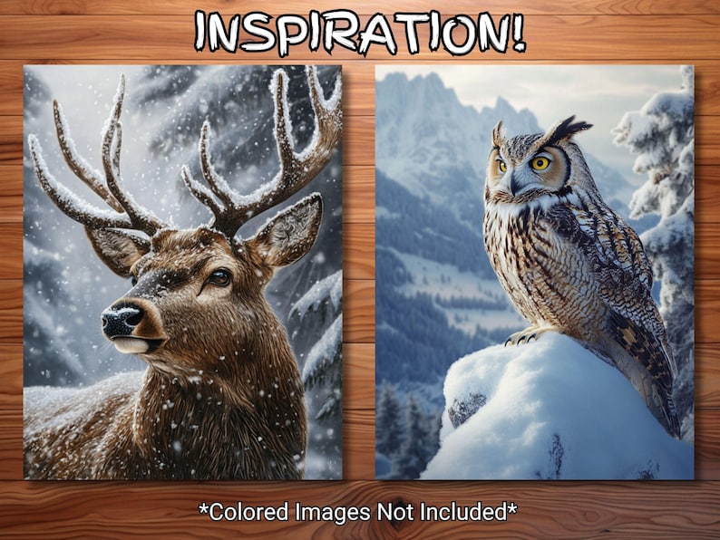 May include: Two canvas art prints featuring winter scenes. One depicts a brown deer with large antlers in a snowy forest. The other shows a great horned owl perched on a snow-covered rock with a mountain backdrop. Text: "INSPIRATION!" and "*Colored Images Not Included*".