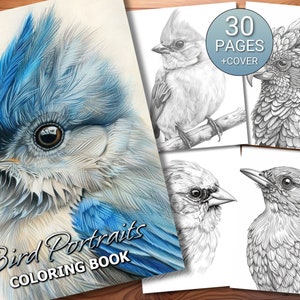30 Bird Portraits Coloring Page Book - Adults + Kids - Instant Download - Grayscale Coloring Page - Printable PDF