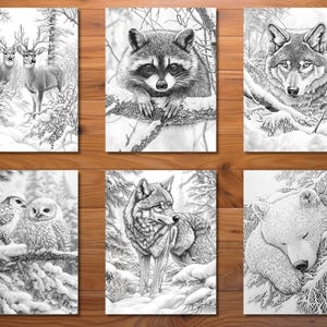 May include: Set of six black and white art prints featuring detailed illustrations of woodland animals in winter settings. Includes deer, a raccoon, a wolf, owls, a bear, and another wolf.