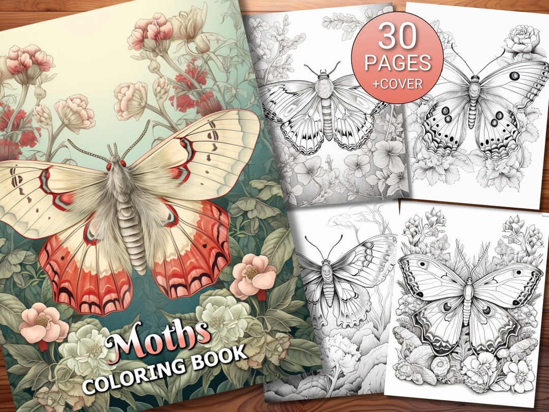 30 Moths Coloring Page Book Adults Kids Instant Download Etsy