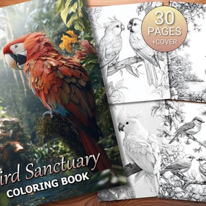 30 Bird Sanctuary Coloring Page Book - Adults + Kids - Instant Download - Grayscale Coloring Page - Printable PDF