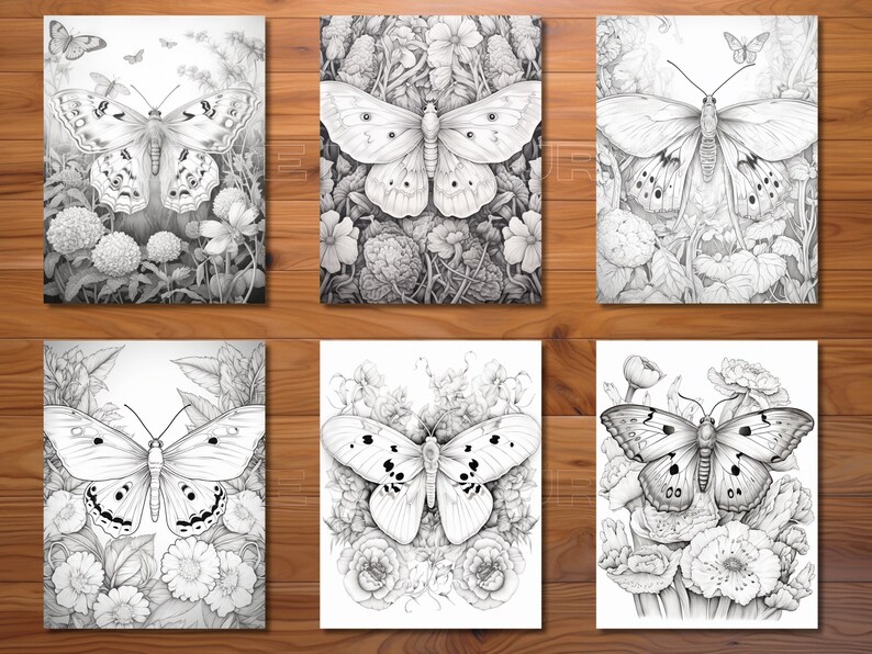 30 Moths Coloring Page Book Adults Kids Instant Download Etsy