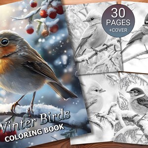 30 Winter Birds Coloring Page Book - Adults + Kids - Instant Download - Grayscale Coloring Page - Printable PDF