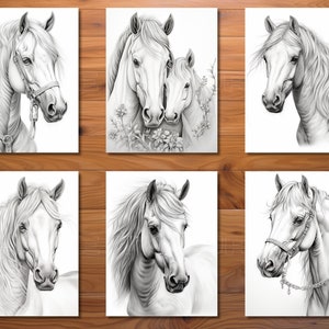 May include: Six black and white pencil drawings of horses. Each drawing features a different horse with a focus on the head and neck. The horses are all facing the viewer.
